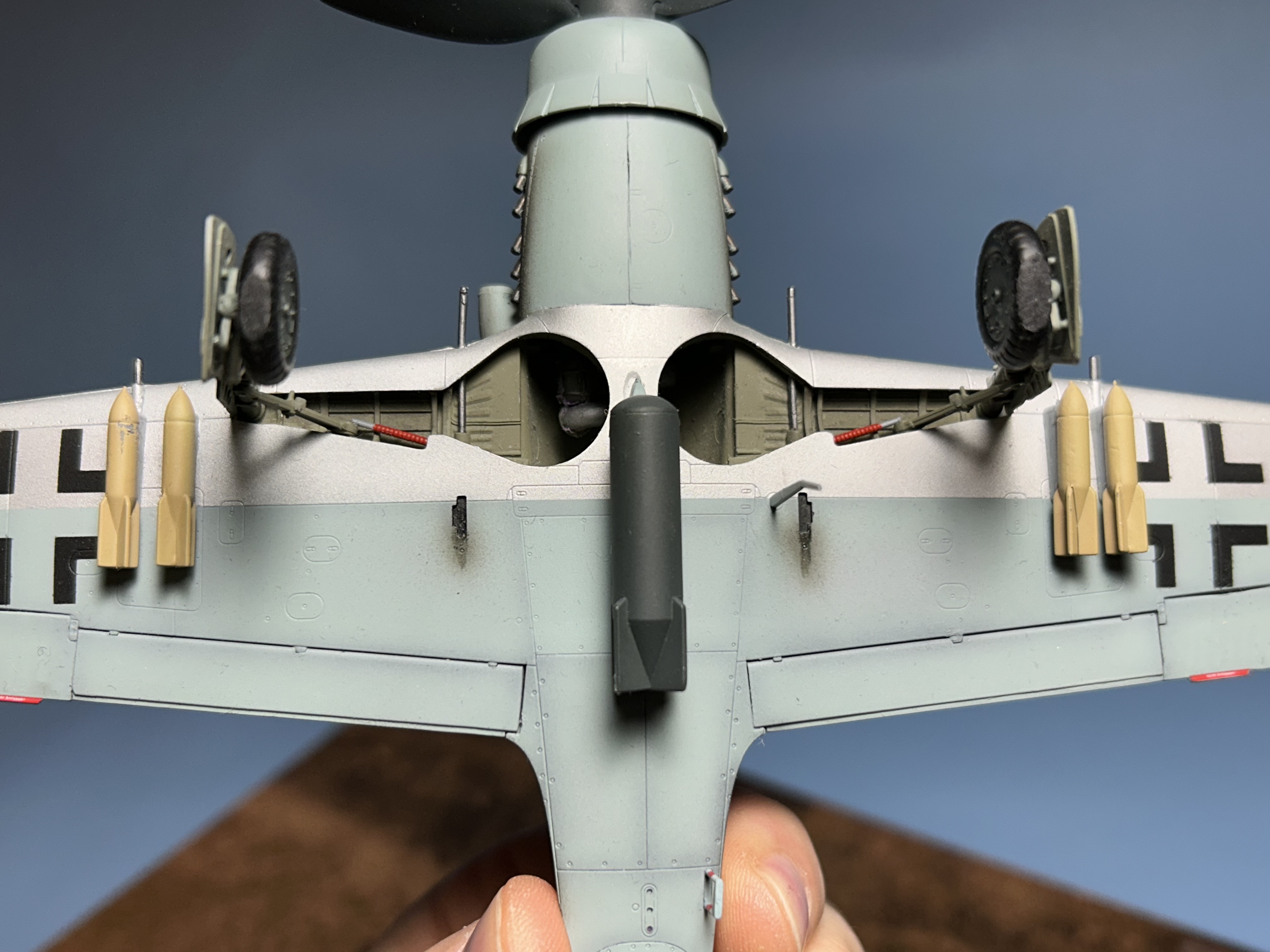 closeup4.jpg