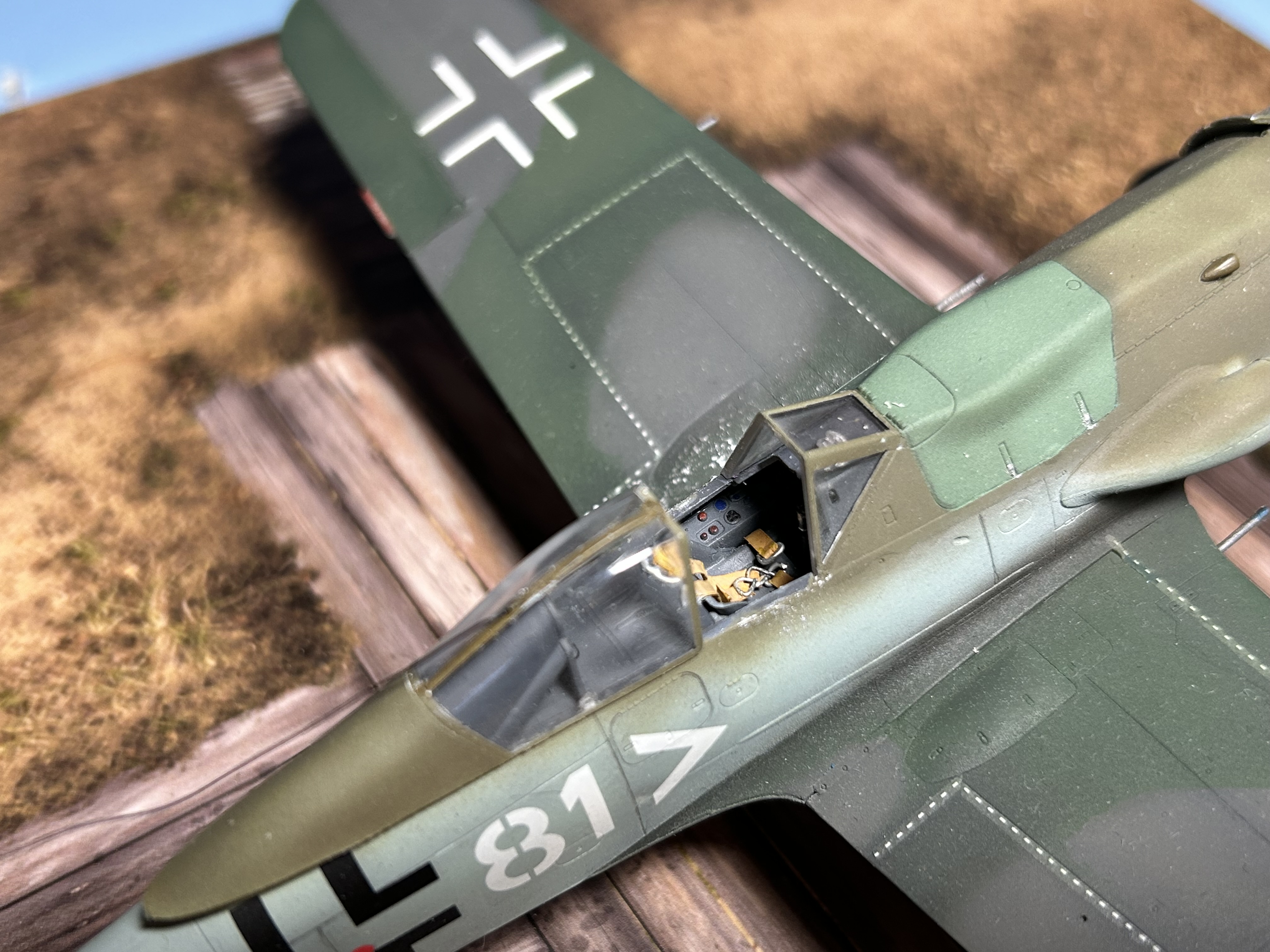 closeup7.jpg