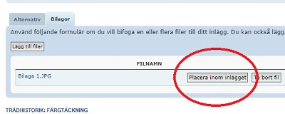 Inom inlägget.JPG