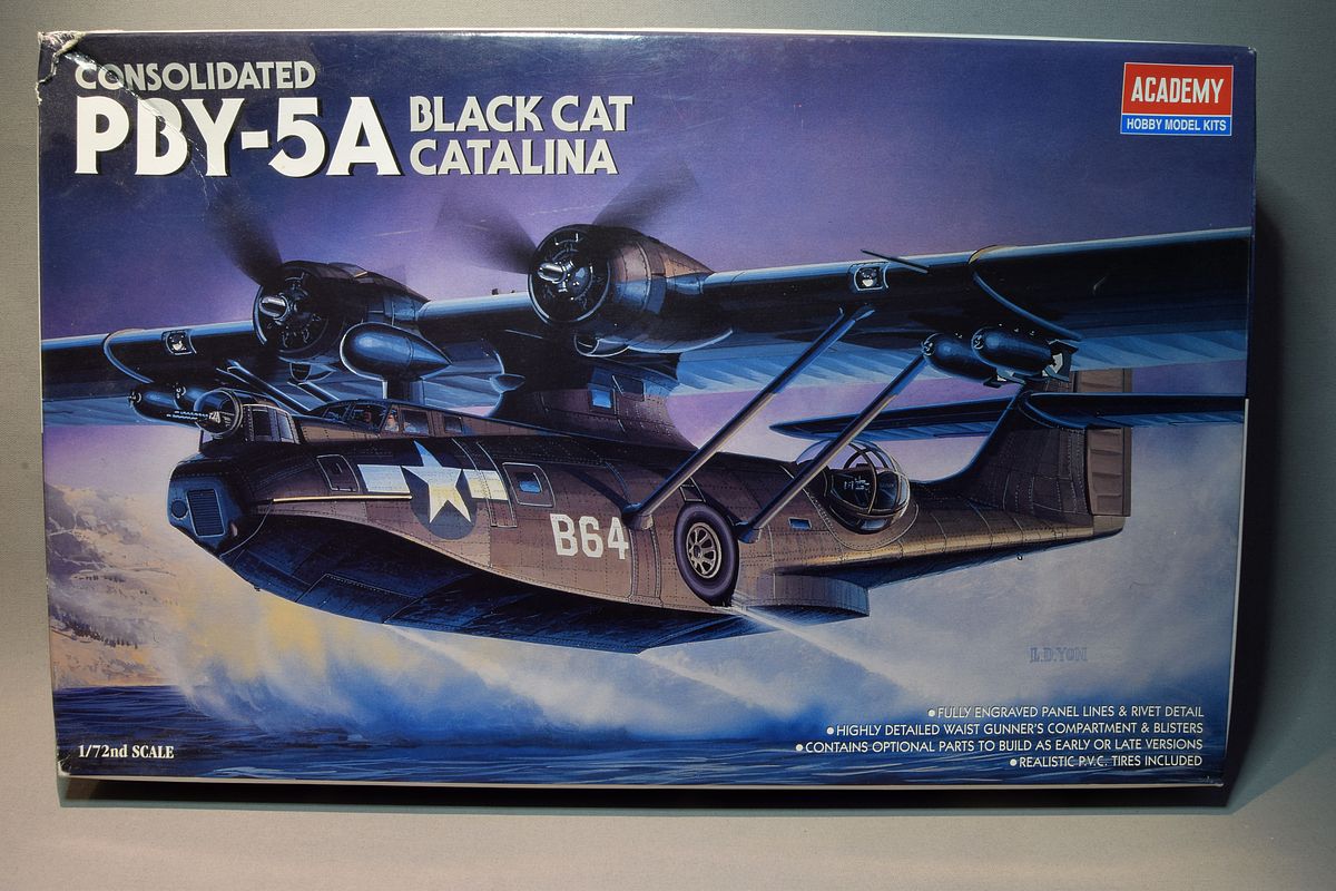 cat_00.JPG