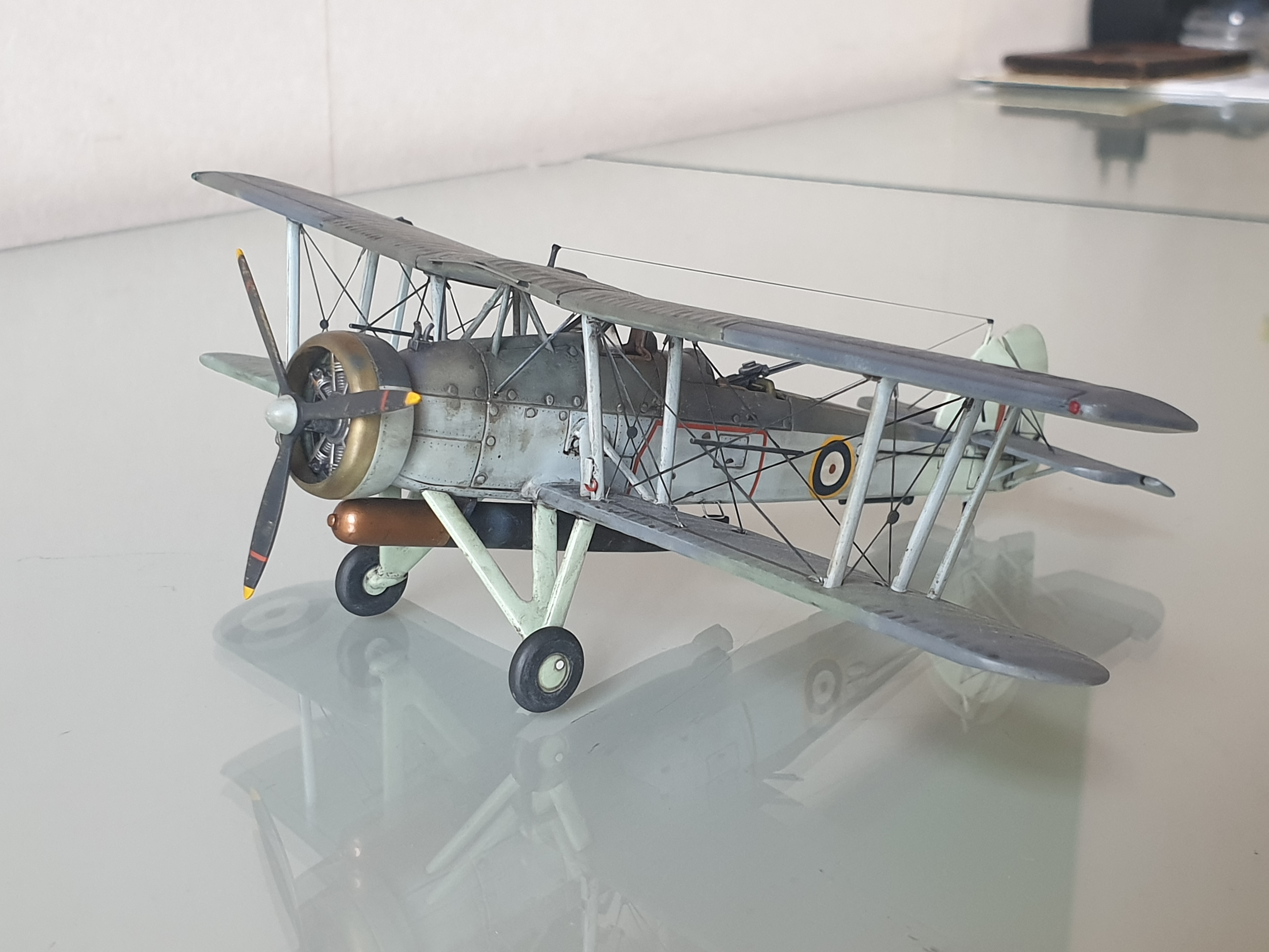 20190813_115437.jpg