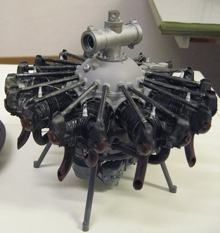 WASP J 321 (7).JPG