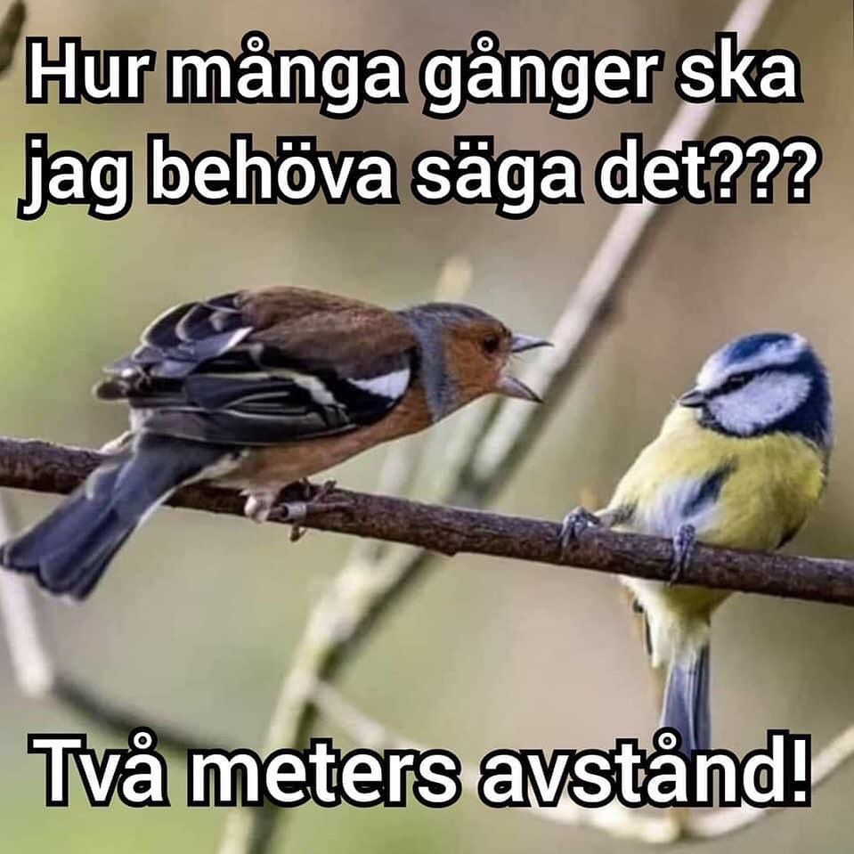 Diorama förslag med Covid tema.jpg