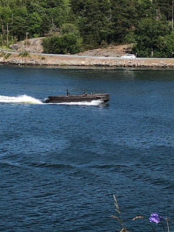 IMG_53371.jpg