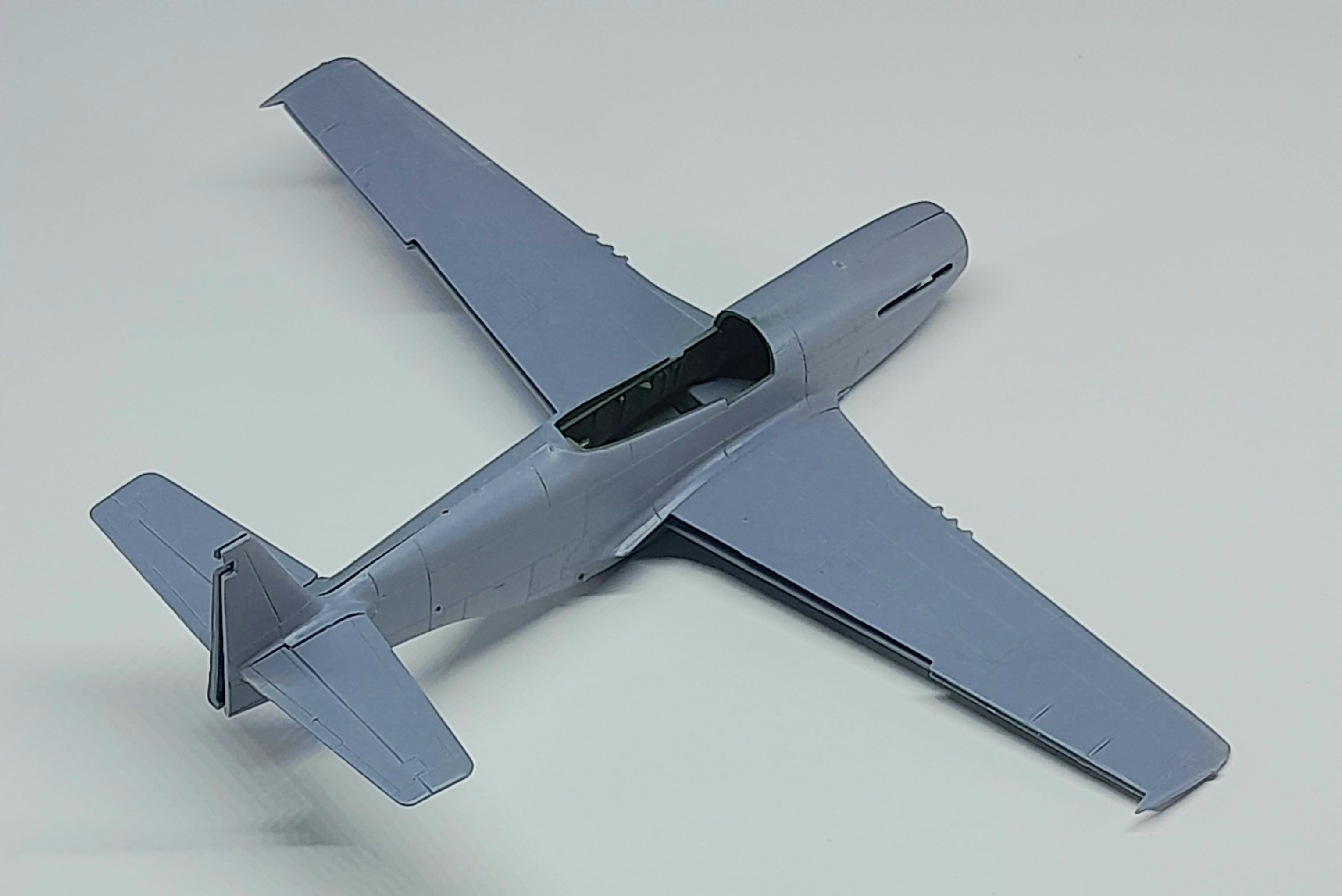 20241115_201343.jpg