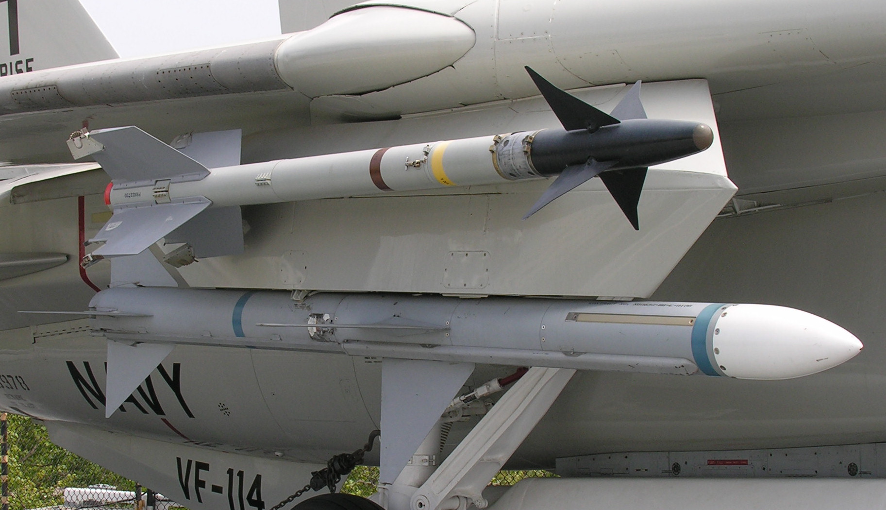 AIM-9 + AIM120.jpg